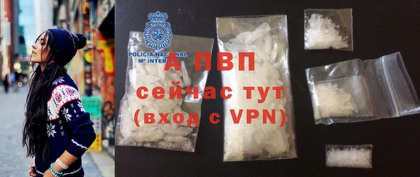 стаф Абаза
