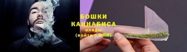 стаф Абаза